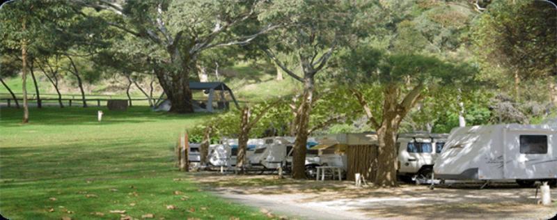 Adelaide Brownhill Creek Tourist Park Hotel Kültér fotó